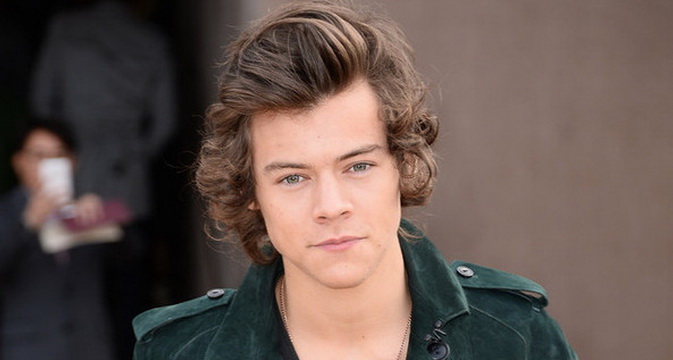 Attention, Ladies: Harry Styles Does Not Want Your Bra