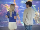 August Maturo : august-maturo-1750960590.jpg