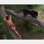 Brandon Baker in
The Jungle Book: Mowgli