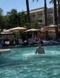 Brendan Schroeder in
General Pictures -
Uploaded by: Guest