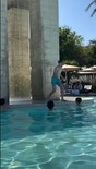 Brendan Schroeder in
General Pictures -
Uploaded by: Guest