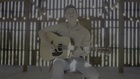 Jet Jurgensmeyer : jet-jurgensmeyer-1751484912.jpg