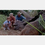 Joseph Mazzello in
Jurassic Park -
Uploaded by: Nirvanafan201