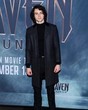 Levi Miller in
General Pictures -
Uploaded by: bluefox4000