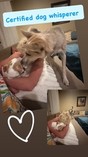 Lucas Royalty in
General Pictures -
Uploaded by: bluefox4000