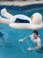 Nicholas Crovetti in
General Pictures -
Uploaded by: Guest