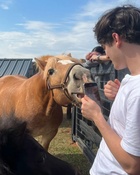 Photo of Noah Schnapp