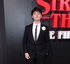 Photo of Noah Schnapp