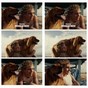 Ross Lynch in
General Pictures -
Uploaded by: Guest