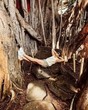 Ryan Buggle in
General Pictures -
Uploaded by: ECB