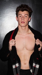 Shawn Mendes : shawn-mendes-1750889110.jpg